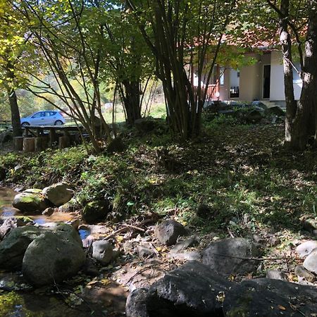 Vila Idila Crni Vrh Exteriér fotografie