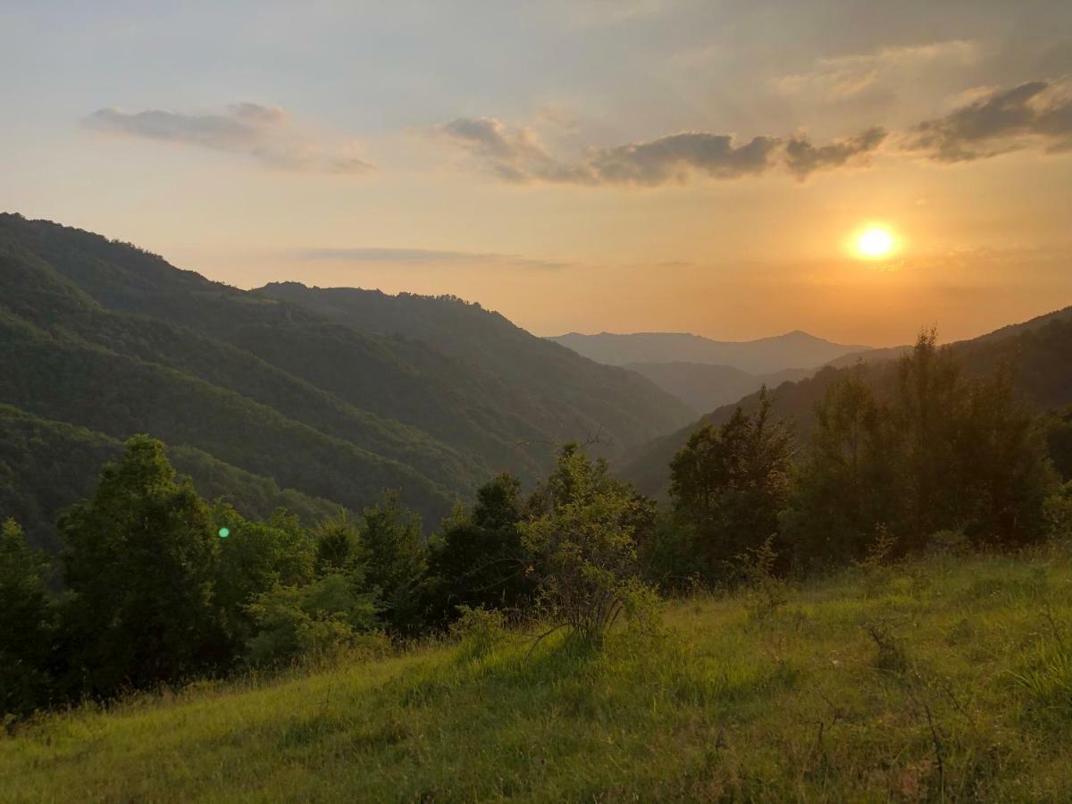 Vila Idila Crni Vrh Exteriér fotografie